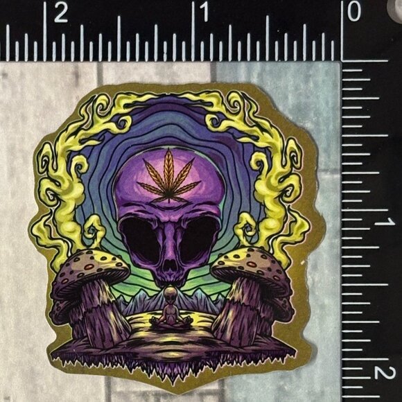 🌀10/$10🌀 Psychedelic 420 Reusable Waterproof Vinyl Sticker Decal - Picture 1 of 1